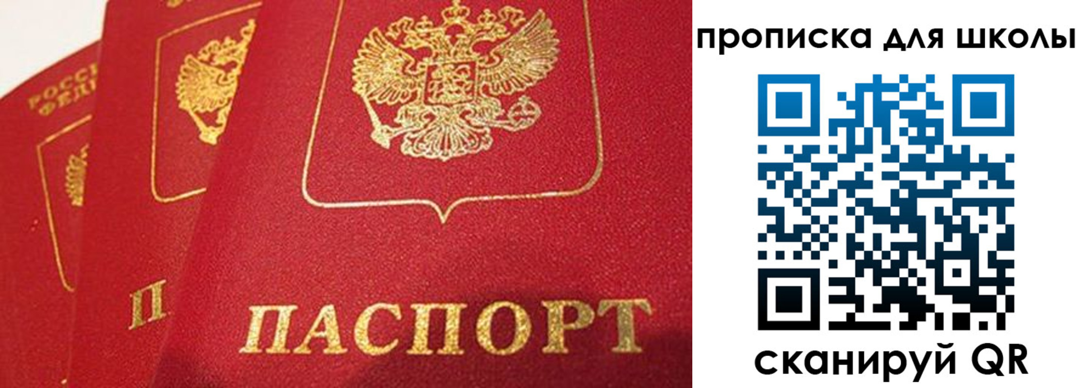 временная регистрация надежно в Всеволожске